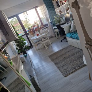 2 camere Bragadiru, curte 40 mp