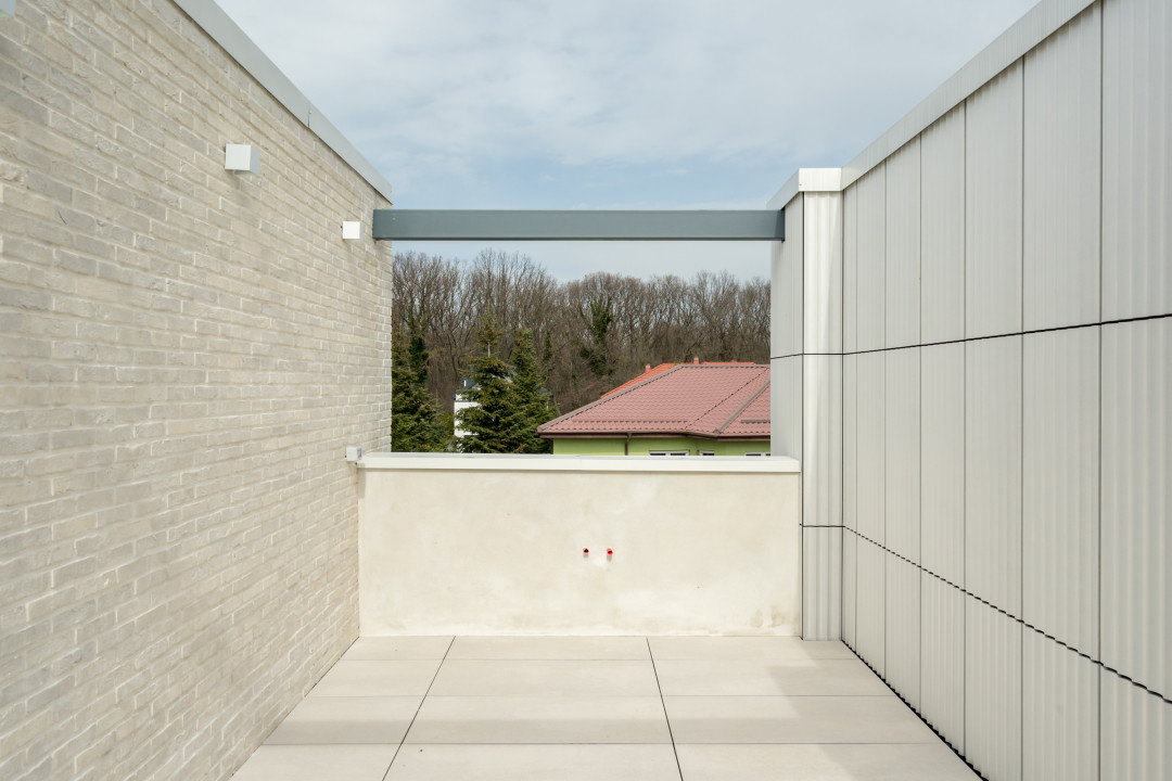 Exclusive Villa in Iancu Nicolae – Elegance, Space, and Comfort