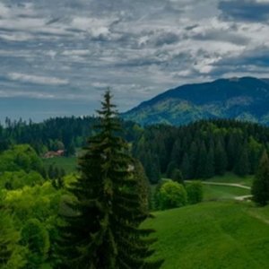 SUPERB Teren intravilan de 4700mp  in Poiana Mica Brasov