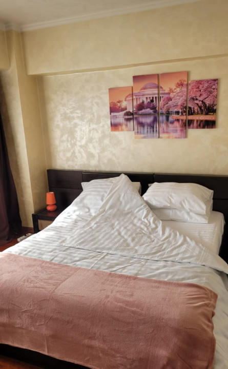 Apartament complet mobilat si utilat - Unirii - Curtea de Apel