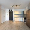 Studio de inchiriat in Greenfield – liniste si aer curat