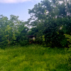 CORBEANCA_Vila cu dumbrava_Gradina