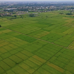 SNAGOV 20150mp TEREN INTRAVILAN AGRICOL