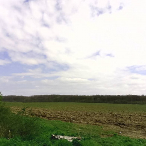 Com GRUIU_Reprezentare exclusiva_TEREN  EXTRAVILAN LANGA PADURE