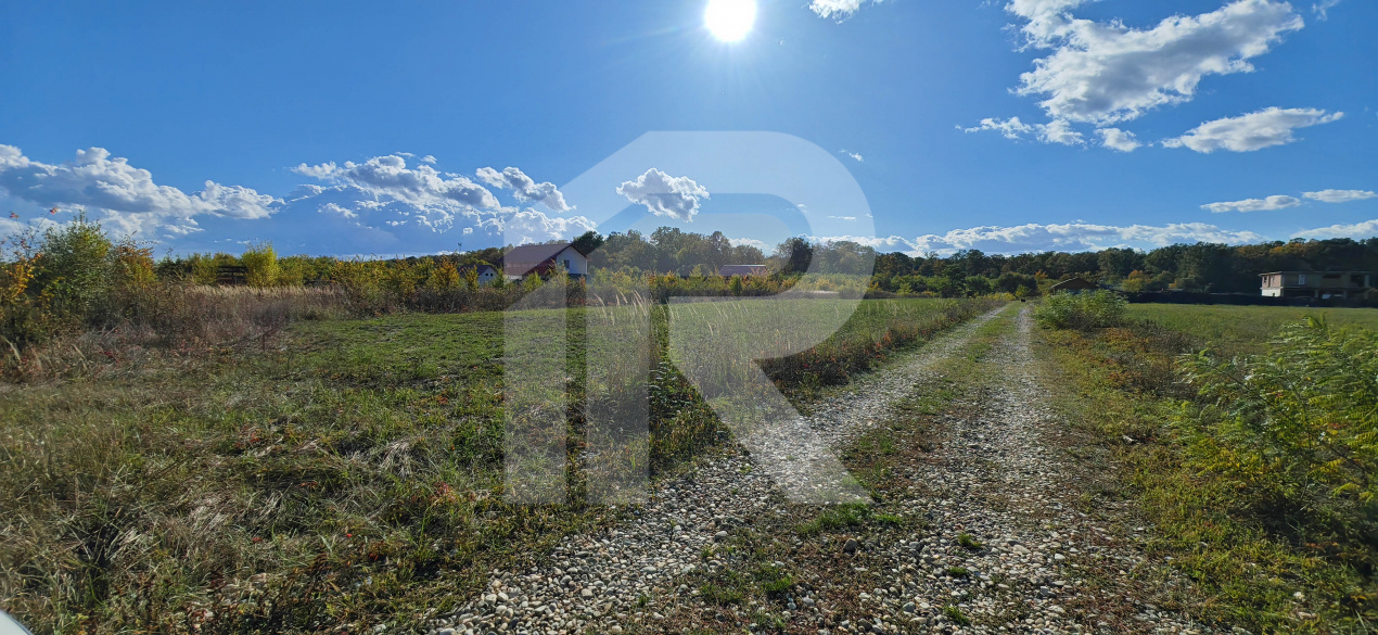 Refugiu la marginea padurii — 1000 mp de liniste in Cocani.