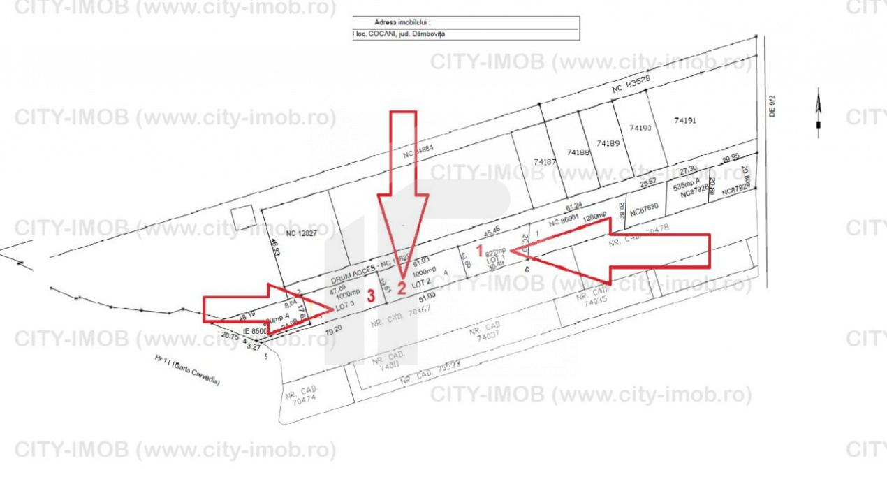 Refugiu la marginea padurii — 1000 mp de liniste in Cocani.
