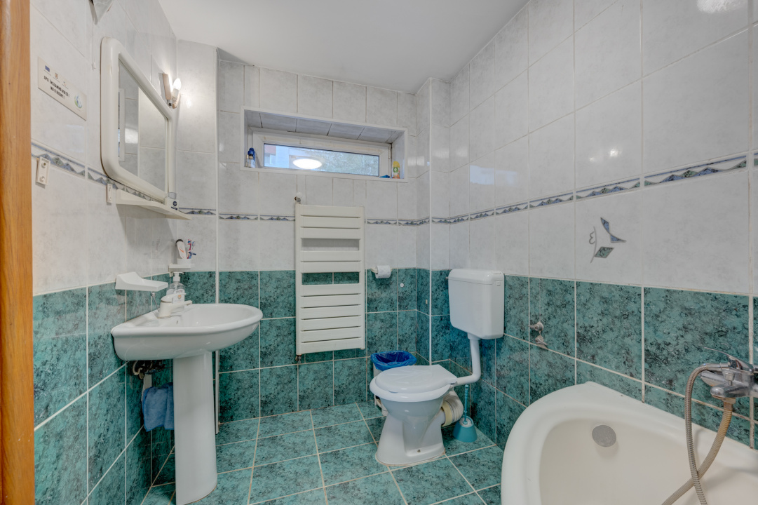 Vila de vanzare Domenii-Ion Mihalache