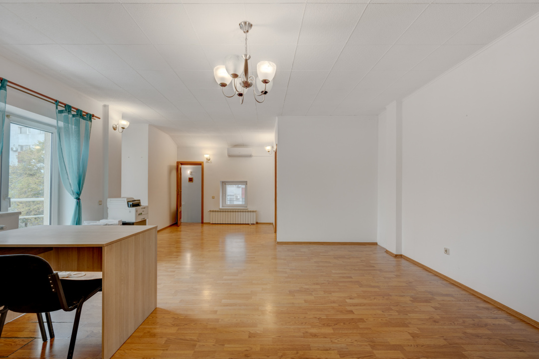 Vila de vanzare Domenii-Ion Mihalache