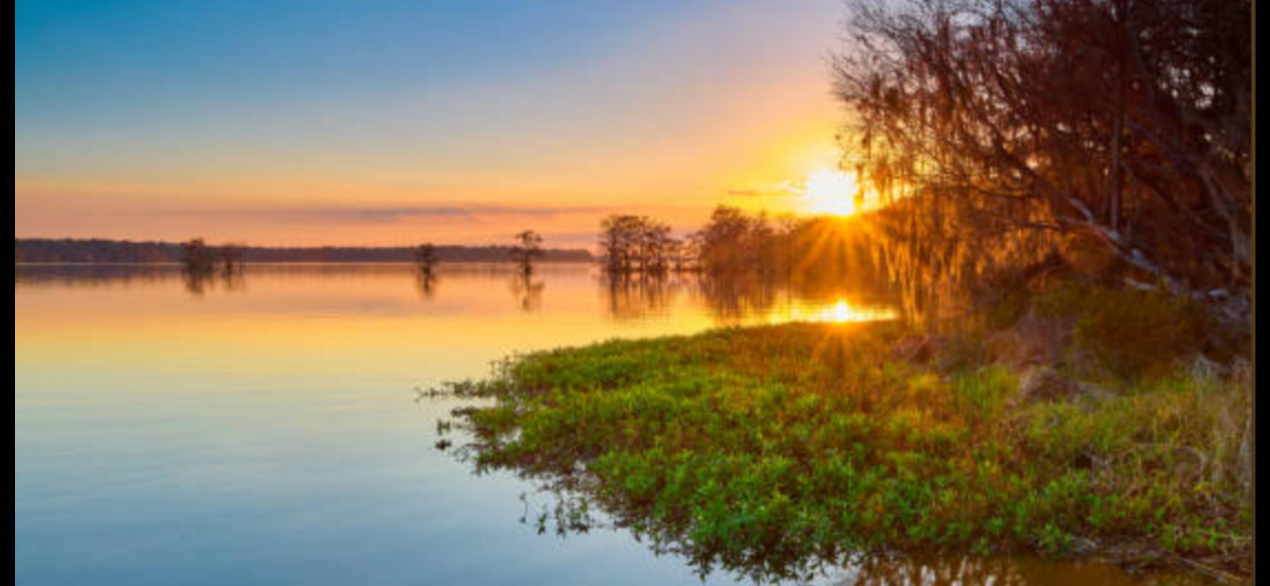 SISESTI teren.  5000mp iesire la LAC