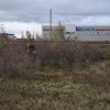 Teren intravilan Bragadiru