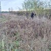 De Vanzare Teren intravilan Bragadiru 